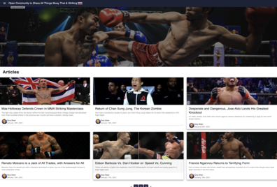 articles page of my muay thai blog
